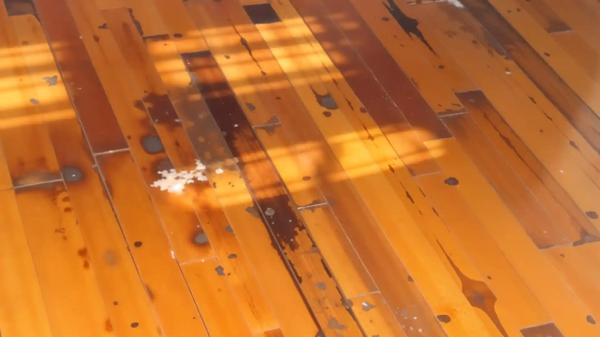 How to Remove Pet Urine Stains from Hardwood Floors